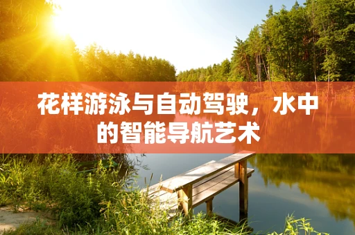 花样游泳与自动驾驶，水中的智能导航艺术