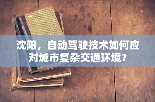 沈阳，自动驾驶技术如何应对城市复杂交通环境？