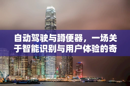 自动驾驶与蹲便器，一场关于智能识别与用户体验的奇妙融合