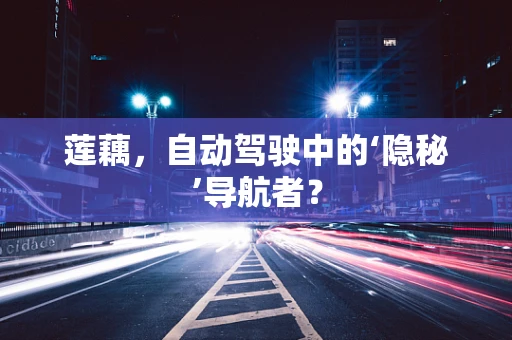 莲藕，自动驾驶中的‘隐秘’导航者？