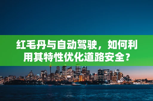 红毛丹与自动驾驶，如何利用其特性优化道路安全？