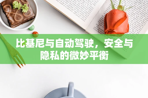比基尼与自动驾驶，安全与隐私的微妙平衡