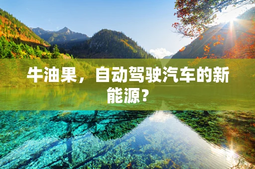 牛油果，自动驾驶汽车的新能源？