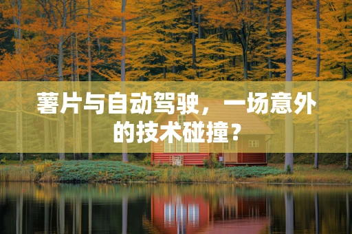 薯片与自动驾驶，一场意外的技术碰撞？