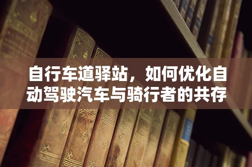自行车道驿站，如何优化自动驾驶汽车与骑行者的共存空间？