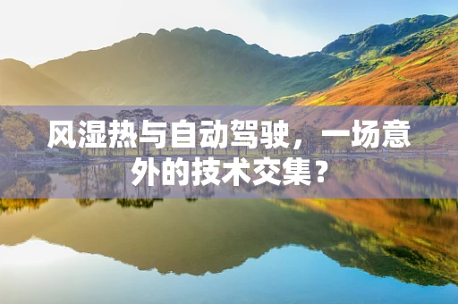 风湿热与自动驾驶，一场意外的技术交集？