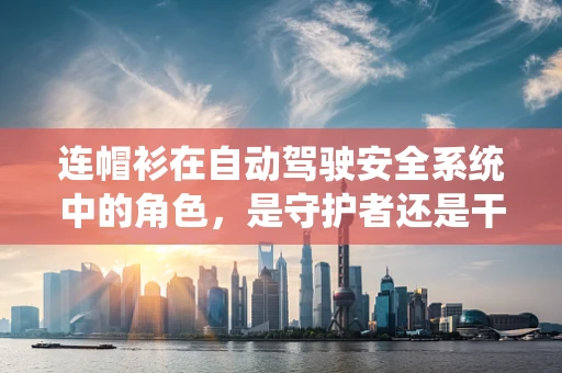 连帽衫在自动驾驶安全系统中的角色，是守护者还是干扰者？