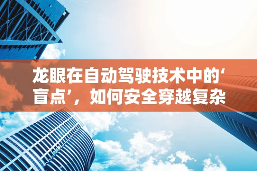 龙眼在自动驾驶技术中的‘盲点’，如何安全穿越复杂环境？