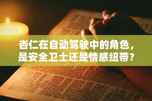 杏仁在自动驾驶中的角色，是安全卫士还是情感纽带？
