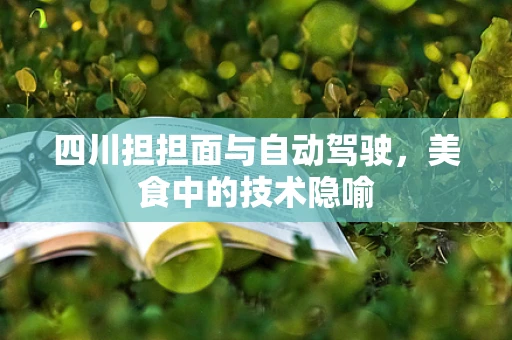 四川担担面与自动驾驶，美食中的技术隐喻