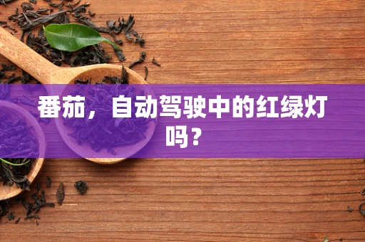 番茄，自动驾驶中的红绿灯吗？