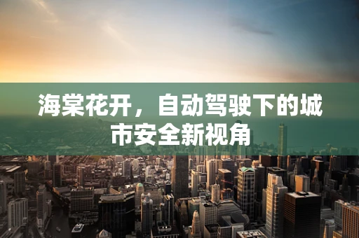 海棠花开，自动驾驶下的城市安全新视角