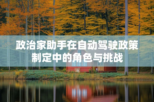 政治家助手在自动驾驶政策制定中的角色与挑战