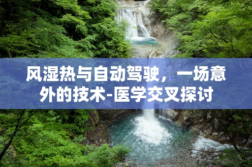 风湿热与自动驾驶，一场意外的技术-医学交叉探讨