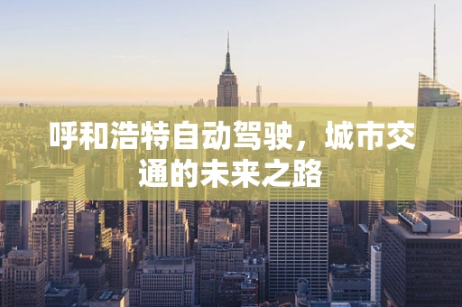 呼和浩特自动驾驶，城市交通的未来之路