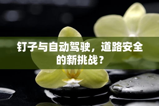 钉子与自动驾驶，道路安全的新挑战？