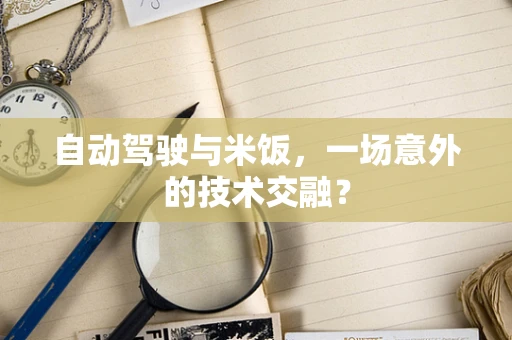 自动驾驶与米饭，一场意外的技术交融？