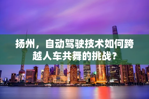 扬州，自动驾驶技术如何跨越人车共舞的挑战？
