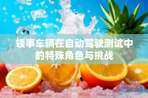 领事车辆在自动驾驶测试中的特殊角色与挑战