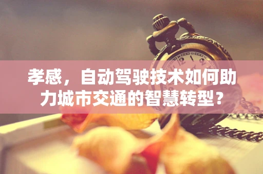 孝感，自动驾驶技术如何助力城市交通的智慧转型？