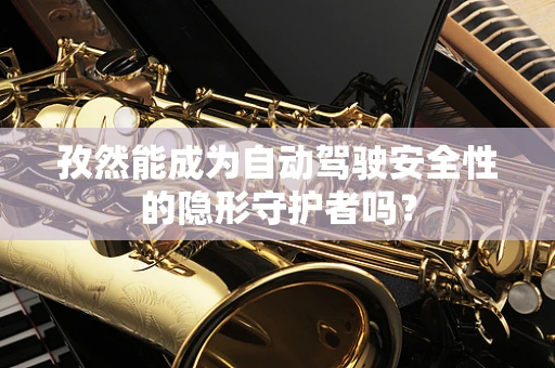 孜然能成为自动驾驶安全性的隐形守护者吗？