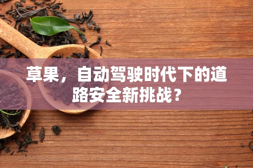 草果，自动驾驶时代下的道路安全新挑战？