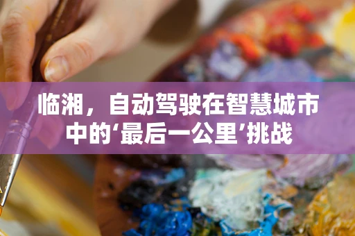 临湘，自动驾驶在智慧城市中的‘最后一公里’挑战
