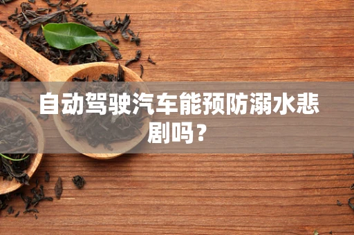 自动驾驶汽车能预防溺水悲剧吗？