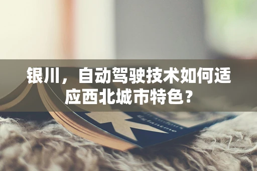 银川，自动驾驶技术如何适应西北城市特色？