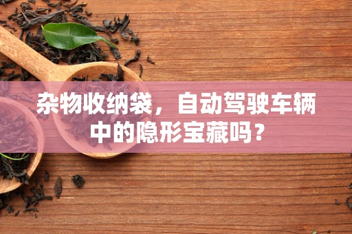 杂物收纳袋，自动驾驶车辆中的隐形宝藏吗？
