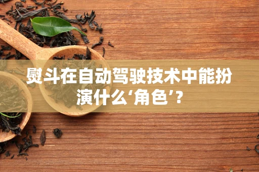 熨斗在自动驾驶技术中能扮演什么‘角色’？