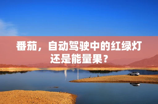 番茄，自动驾驶中的红绿灯还是能量果？