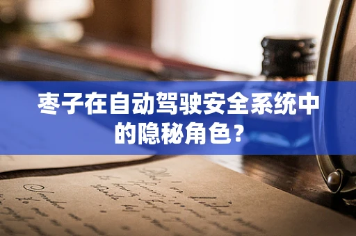 枣子在自动驾驶安全系统中的隐秘角色？