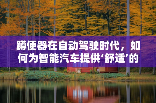 蹲便器在自动驾驶时代，如何为智能汽车提供‘舒适’的停车体验？